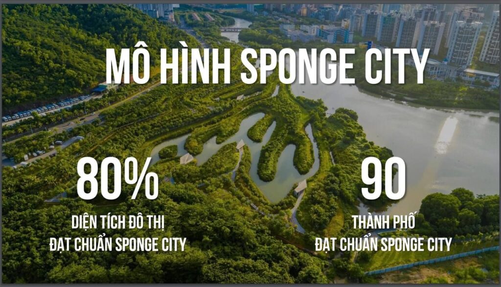 Sponge City